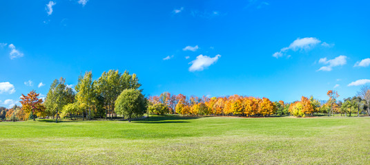 panoramic picturesque park landscape with bright autumnal trees and blue sky - obrazy, fototapety, plakaty
