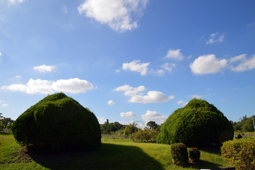 Fototapeta na wymiar 刈り込まれた植木がある庭園の上空に夏の雲が浮かぶ公園の風景