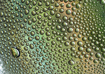 drops of water on green background
