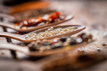 Spoons & Herbs