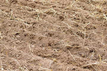 Freshly cultivated soil