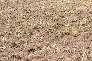Freshly cultivated soil