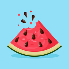 Watermelon slice. Juicy natural dessert. Vector cartoon design