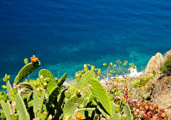 Einmalige Aussicht auf die Steilküste und den Leuchtturm von Ponta do Pargo, Madeira, Portugal,...