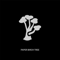 white paper birch tree vector icon on black background. modern flat paper birch tree from nature concept vector sign symbol can be use for web, mobile and logo.