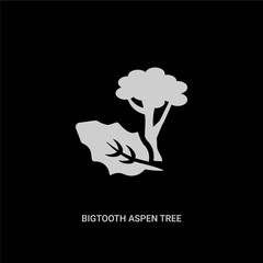 white bigtooth aspen tree vector icon on black background. modern flat bigtooth aspen tree from nature concept vector sign symbol can be use for web, mobile and logo.