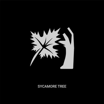 white sycamore tree vector icon on black background. modern flat sycamore tree from nature concept vector sign symbol can be use for web, mobile and logo.