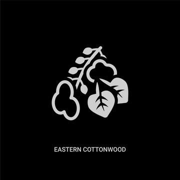 white eastern cottonwood tree vector icon on black background. modern flat eastern cottonwood tree from nature concept vector sign symbol can be use for web, mobile and logo.