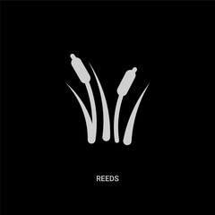 white reeds vector icon on black background. modern flat reeds from nature concept vector sign symbol can be use for web, mobile and logo.