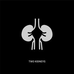 white two kidneys vector icon on black background. modern flat two kidneys from human body parts concept vector sign symbol can be use for web, mobile and logo.