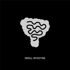 white small intestine vector icon on black background. modern flat small intestine from human body parts concept vector sign symbol can be use for web, mobile and logo.