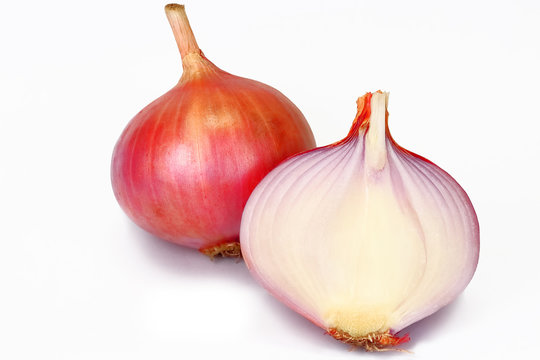 ONION WITH WHITE BACKGROUND - VEGITABLE