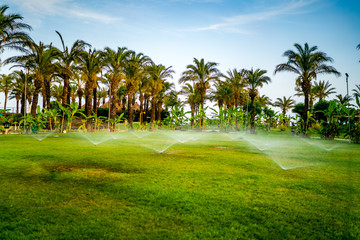 Gardening details - automatic lawn watering system with pop-up sprinklers - obrazy, fototapety, plakaty