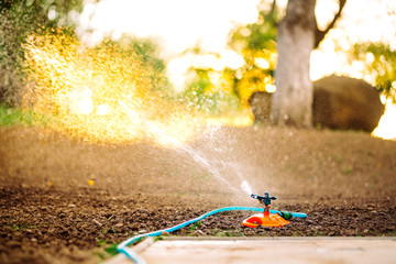 Close up details of garden backyard irrigation with hose and sprinkler system - obrazy, fototapety, plakaty
