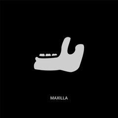 white maxilla vector icon on black background. modern flat maxilla from dentist concept vector sign symbol can be use for web, mobile and logo. © Meth Mehr