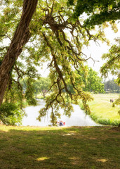 Fototapety na wymiar - Fototapeta24.pl