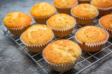 Homemade durian cupcakes on rock table.