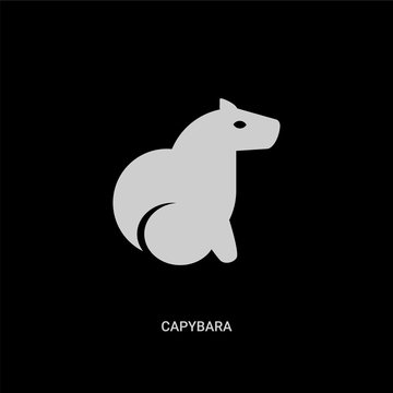 white capybara vector icon on black background. modern flat capybara from animals concept vector sign symbol can be use for web, mobile and logo.