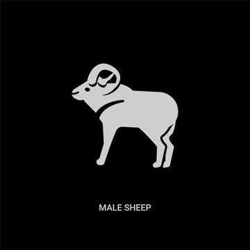 white male sheep vector icon on black background. modern flat male sheep from animals concept vector sign symbol can be use for web, mobile and logo.
