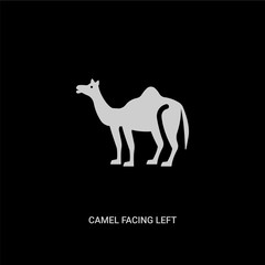 white camel facing left vector icon on black background. modern flat camel facing left from animals concept vector sign symbol can be use for web, mobile and logo.