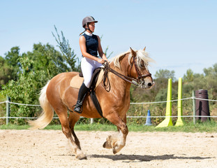 riding girl and horse