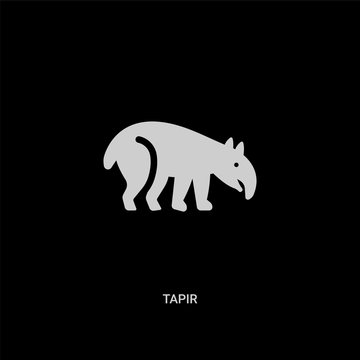 white tapir vector icon on black background. modern flat tapir from animals concept vector sign symbol can be use for web, mobile and logo.