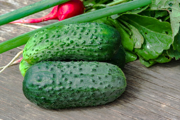 Fresh small green cucumbers with radishes and green onions on an old wooden table, summer vegetable harvest close-up
