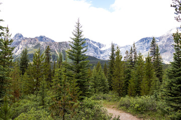 Fototapeta na wymiar Ridgeline in Banff National Park Canada