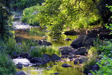 Bucatoggio river in Corsica mountain