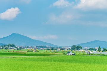 Fototapeta na wymiar 日本の田舎風景