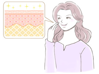 中年女性_健康な肌断面