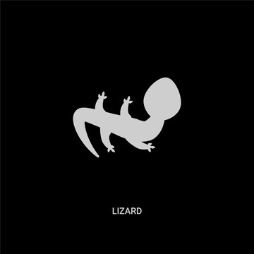 white lizard vector icon on black background. modern flat lizard from desert concept vector sign symbol can be use for web, mobile and logo.