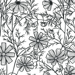 Obraz premium vector illustration eps10 . cosmea flowers, daisy, coloring book. Seamless pattern.