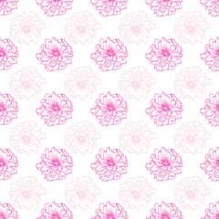Seamless peony flowers pattern on white background