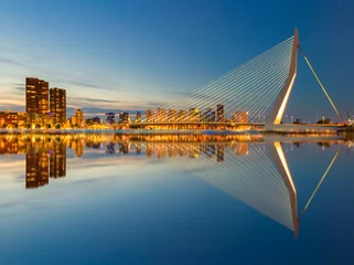 Photo sur Plexiglas Pont Érasme L& 39 Erasmusbrug et les toits de Rotterdam de nuit avec un reflet dans l& 39 eau, un monument célèbre aux Pays-Bas et une destination de voyage