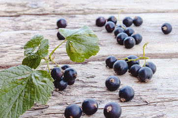 Black currant lies next to the green leaves on a wooden background. Juicy natural fruits currant.