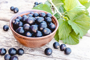 Fresh ripe currant berries in a bowl on wooden background near green leaves. Juicy fruits currants. Black currant