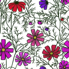 Tuinposter vectorillustratie eps10. cosmea bloemen, madeliefje, kleuren. Naadloos patroon. © Yevheniia