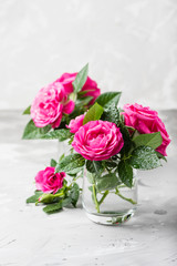 Amazing wild pink roses