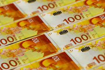 Israeli shekels background. 100 shekels pattern.