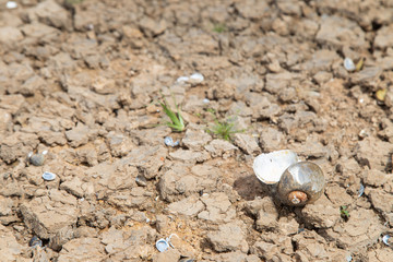 Drought of water sources. The impact of rain does not fall seasonally. Reservoir condition for drought consumption.