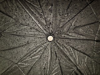 Rain drops scattered on a black umbrella.