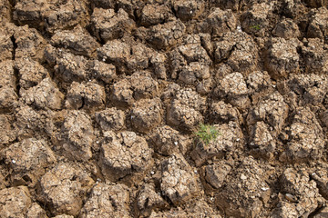 Drought of water sources. The impact of rain does not fall seasonally. Reservoir condition for drought consumption.