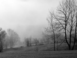 Herbstnebel liegt wie eine decke in den T&auml;lern.