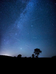 Naklejka na ściany i meble Perseid meteor shower with trees at background