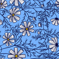 vector illustration eps10 . cosmea flowers, daisy, coloring. Seamless pattern.