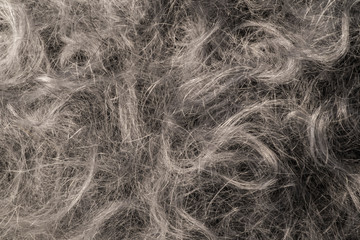 Wool texture