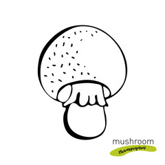 Champignon mushroom hand drawn vector illustration. Sketch food drawing isolated on white background. Organic vegetarian product. Great for menu, label, product packaging,