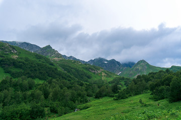 Fototapeta premium panorama of the mountain. alpine meadow.