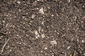 The texture of the earth